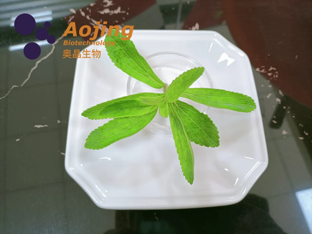 Glucosyl Steviol Glycoside Steiva GS80%-90% Produced by Biological Method